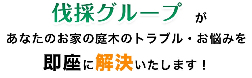 伐採グループがあなたのお家の庭木のトラブル・お悩みを 即座に解決いたします!