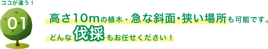 高さ10mの植木・急な斜面・狭い場所も可能です。どんな伐採もお任せください!