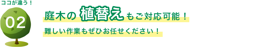 庭木の植替えもご対応可能! 難しい作業もぜひお任せください!